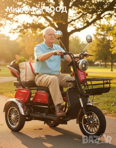 Електрическа триколка, снимка 2 - Мотоциклети и мототехника - 44265665
