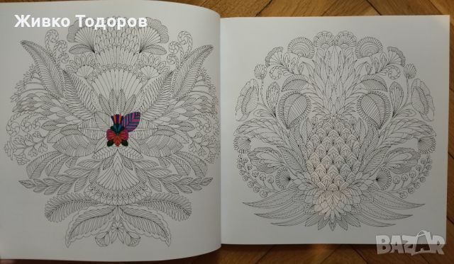 Книги за Оцветяване за възрастни Fabulous Flowers /Flora Botanika, снимка 17 - Други - 45523807