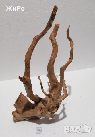 Корен от Азалия /декорация/ 58, снимка 3 - Други - 54102302