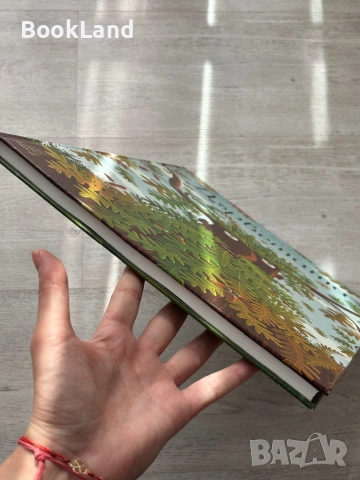 Дърветата| Пьотр Соха , снимка 5 - Детски книжки - 54179710