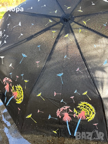 Магически чадъри с глухарчета, снимка 15 - Други - 52299479