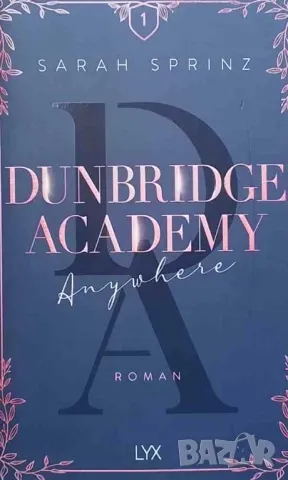 Dunbridge academy, снимка 1 - Художествена литература - 47766042