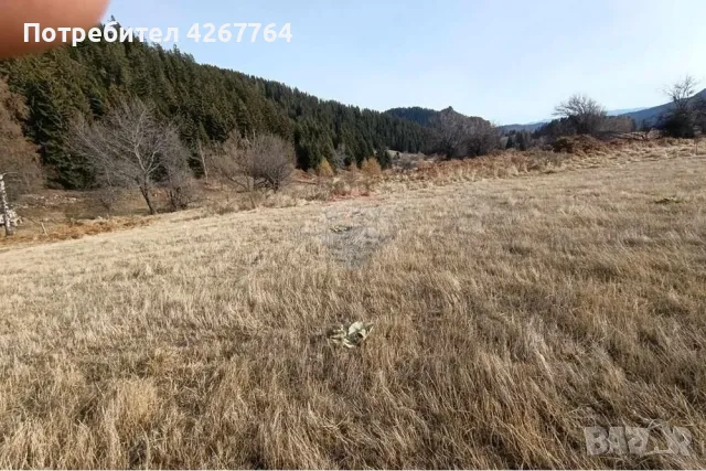 Поземлен имот в Езерово, снимка 7 - Парцели - 50132572