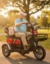 Електрическа триколка, снимка 2