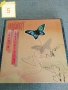 Грамофонни плочи 3, снимка 2
