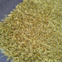 Шаги килим размер 170/125 см. Зелен, снимка 4 - Килими - 45037801