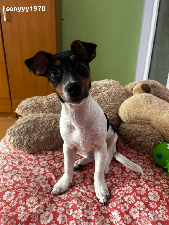 ДЖАК 2912251819, снимка 1