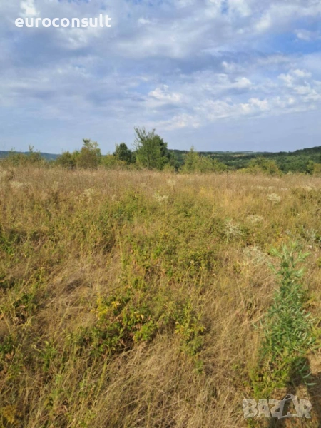 Парцел гр Севлиево 3605 кв.м ,местност "Севлиевски лозя",високата част , снимка 1