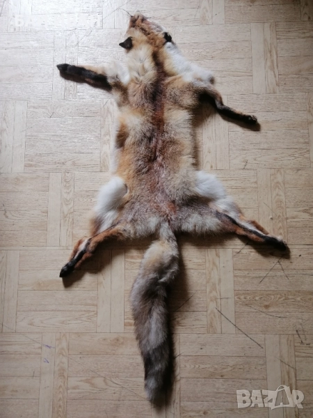 КОЖА ОТ ЛИСИЦА , снимка 1