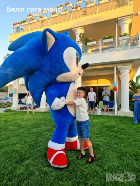 Гигантски Соник изненада, снимка 1