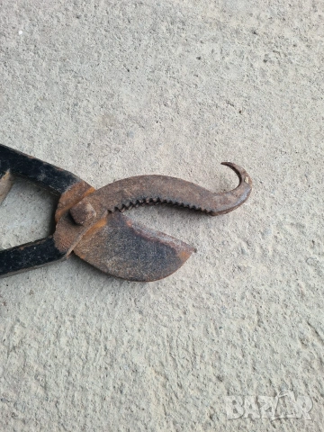 Продавам автентична старинна ветеринарна медицинска ножица, снимка 2 - Други ценни предмети - 53500687