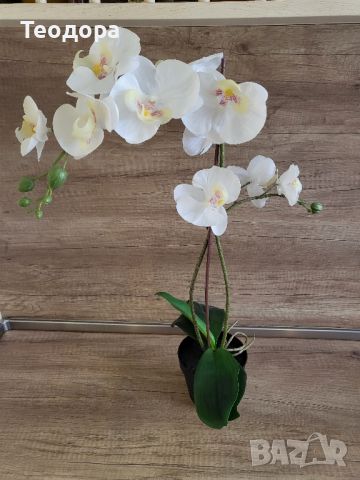 Изкуствена орхидея, снимка 3 - Декорация за дома - 45506440