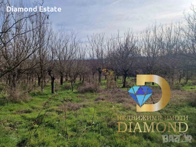 Парцел в село Троян, общ. Симеоновград, снимка 6 - Парцели - 53046100