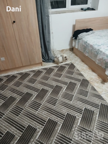 Mini Pomeran , снимка 11 - Померан - 52887662