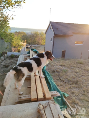 Продава парцел местност Сълзица, снимка 2 - Парцели - 54000528