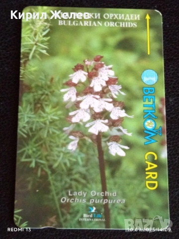 Две фонокарти БЕТКОМ, БУЛ ФОН тема ЦВЕТЯ ОРХИДЕЯ за КОЛЕКЦИЯ ДЕКОРАЦИЯ 42416, снимка 3 - Колекции - 51666283