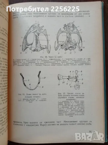 Ръководство за практически занятия по зоология на гръбначните животни, снимка 3 - Специализирана литература - 50440615
