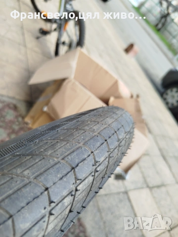 26 цола гума за велосипед колело schwalbe big apple 2.35, снимка 4 - Части за велосипеди - 54093187