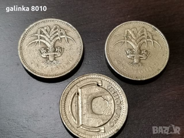 Стари монети паунди от различни години , снимка 1 - Нумизматика и бонистика - 46439380