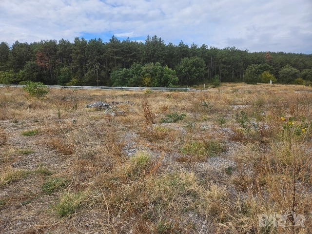 Парцел/Земя под наем, снимка 3 - Земеделска земя - 51864475