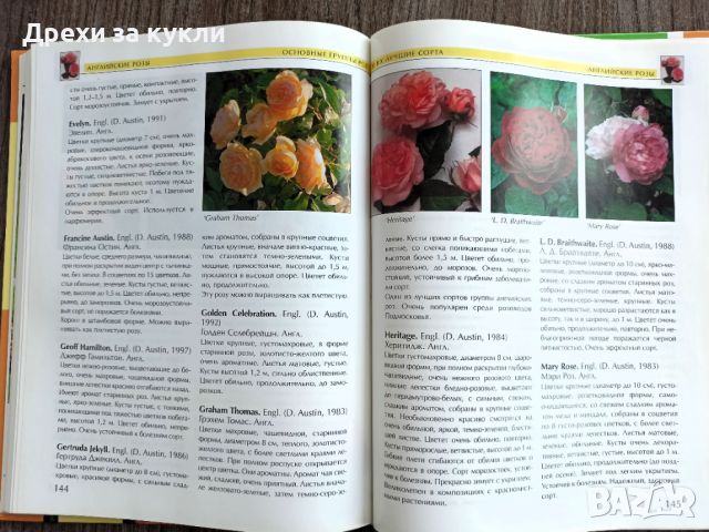 Книга-енциклопедия "Рози", снимка 9 - Енциклопедии, справочници - 45216269