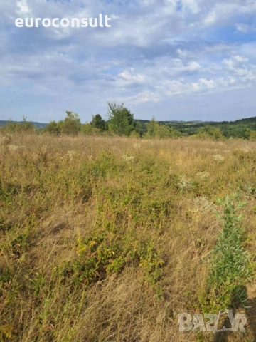 Парцел гр Севлиево 3605 кв.м ,местност "Севлиевски лозя",високата част 