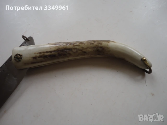 Невероятна сойка нож рог гравюри наваха 3, снимка 4 - Ножове - 51281266