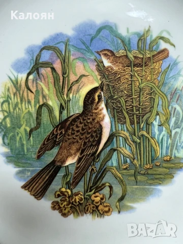 Порцеланова чиния с рисунка на птици колекционерска 