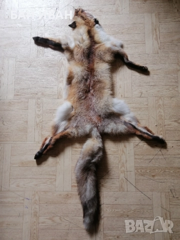 КОЖА ОТ ЛИСИЦА 