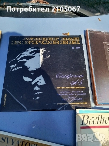 Грамофонни плочи, снимка 7 - Грамофонни плочи - 54255806