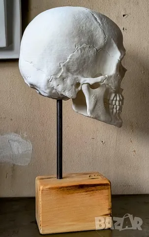 Гипсови Форми за Рисуване / Декорация / Нос / Ухо / Око / Уста, снимка 14 - Декорация за дома - 48825906