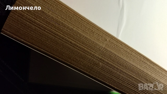 Блогът на дребните неща 2 - Арундати Рой, снимка 2 - Художествена литература - 54110586