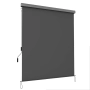 Външна ролетна вертикална щора 160х250см SONGMICS, снимка 1