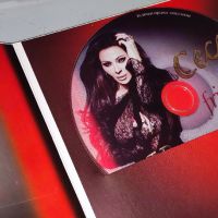 Колекция 3CD -CECA,Dragana,Lepa Brena/отлично състояние/45лв, снимка 10 - CD дискове - 45357349