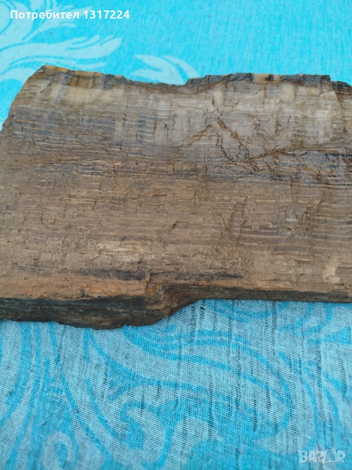 вкаменено дърво, снимка 1