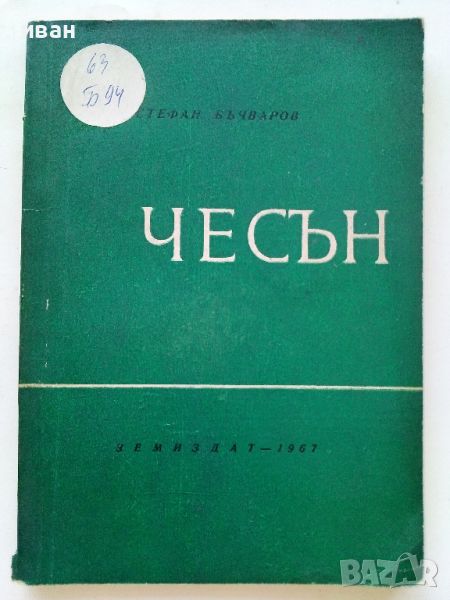 Чесън - Стефан Бъчваров - 1967г., снимка 1