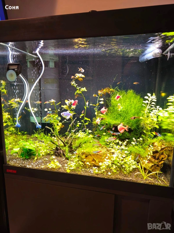 Аквариум с поставка EHEIM Vivaline 150 - антрацит, снимка 1