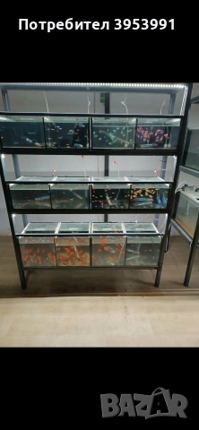 продавам стилаж с 4 аквариума на 3 разделени 
