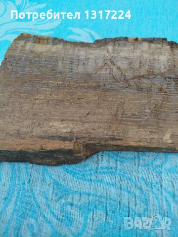 вкаменено дърво