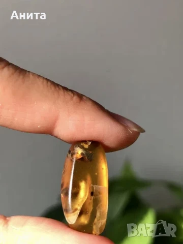 Бирмански кехлибари с включения, снимка 5 - Други - 50846422