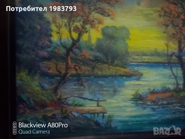 Голяма стара маслена картина., снимка 3 - Антикварни и старинни предмети - 54068183