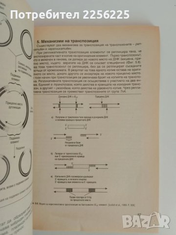 Генетика на бактериите, снимка 3 - Специализирана литература - 51165708