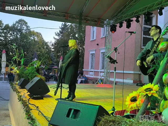 Озвучаване и осветление на високо ниво - Ловеч., снимка 10 - Други - 49318847