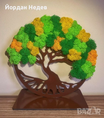 Картини от скандинавски мъх, снимка 6 - Картини - 53664431