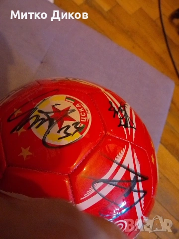 ЦСКА София 2014 г. колекционерска топка с автографи, снимка 10 - Футбол - 53902317