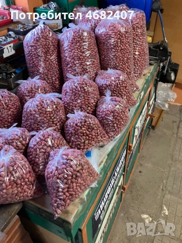 Български ФЪСТЪК, снимка 2 - Разсади - 52790593