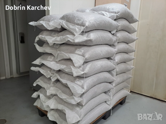 Лешник ядка, снимка 5 - Други - 53762541