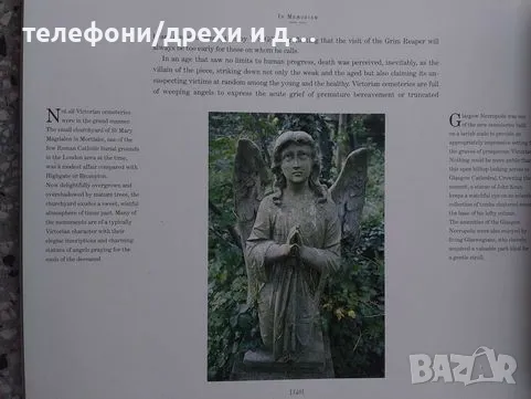 Country Series: Victorian Britain by Michael Jenner, снимка 4 - Специализирана литература - 49854735