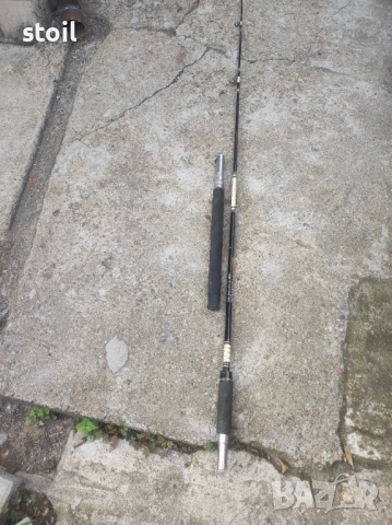 немска въдица здрава на две части
