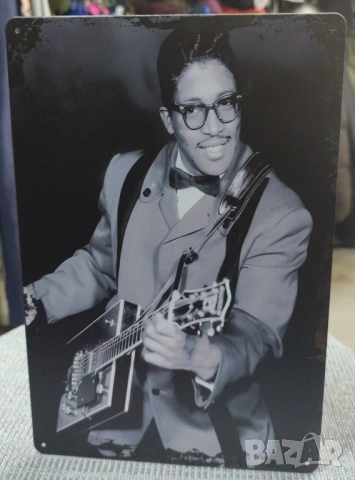 Bo Diddley-метална табела(плакет)